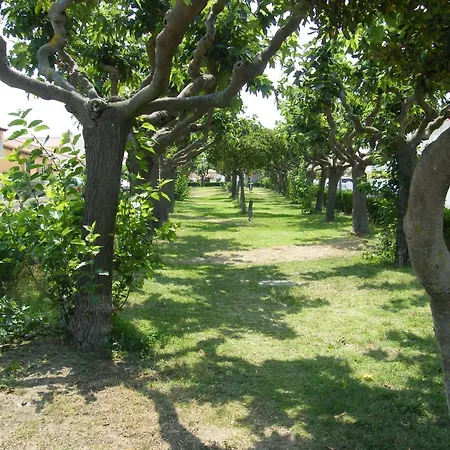Soleil Catalan 150m Ok Cheques Animaux 1ere Etage 4pers Wifi Parking Saint-Cyprien (Pyrenees-Orientales)