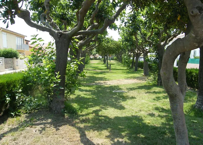 Soleil Catalan 150m Ok Chéques Animaux 1ere étage 4pers Wifi Parking Saint-Cyprien (Pyrenees-Orientales)