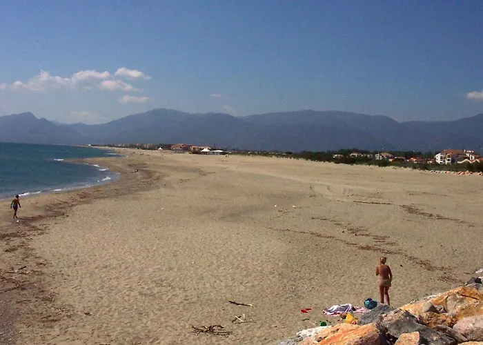 Appartement Soleil Catalan 150m Ok Chéques Animaux 1ere étage 4pers Wifi Parking